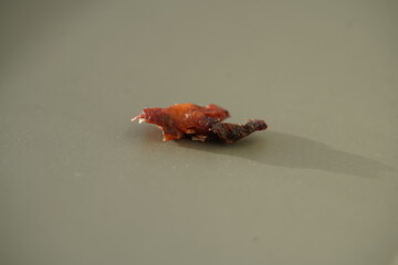 Removed calcification from a carotid artery, performed in a German clinic.