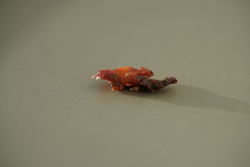 Removed calcification from a carotid artery, performed in a German clinic.