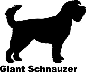 Dog Giant Schnauzer silhouette Breeds Bundle Dogs on the move. Dogs in different poses.
The dog jumps, the dog runs. The dog is sitting. The dog is lying down. The dog is playing
