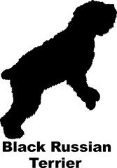 Dog Black Russian Terrier silhouette Breeds Bundle Dogs on the move. Dogs in different poses.
The dog jumps, the dog runs. The dog is sitting. The dog is lying down. The dog is playing
