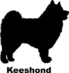 Dog Keeshond silhouette Breeds Bundle Dogs on the move. Dogs in different poses.
The dog jumps, the dog runs. The dog is sitting. The dog is lying down. The dog is playing
