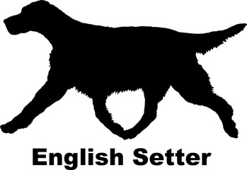 Dog English Setter silhouette Breeds Bundle Dogs on the move. Dogs in different poses.
The dog jumps, the dog runs. The dog is sitting. The dog is lying down. The dog is playing
