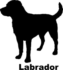Dog  Labrador. silhouette Breeds Bundle Dogs on the move. Dogs in different poses.
The dog jumps, the dog runs. The dog is sitting. The dog is lying down. The dog is playing
