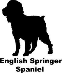 Dog English Springer Spaniel. silhouette Breeds Bundle Dogs on the move. Dogs in different poses.
The dog jumps, the dog runs. The dog is sitting. The dog is lying down. The dog is playing

