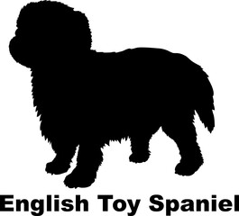 Dog English Toy Spaniel silhouette Breeds Bundle Dogs on the move. Dogs in different poses.
The dog jumps, the dog runs. The dog is sitting. The dog is lying down. The dog is playing
