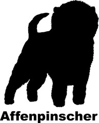 Dog Affenpinscher silhouette Breeds Bundle Dogs on the move. Dogs in different poses.
The dog jumps, the dog runs. The dog is sitting. The dog is lying down. The dog is playing
