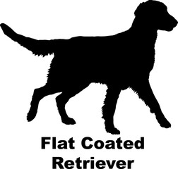 Dog Flat Coated Retriever silhouette Breeds Bundle Dogs on the move. Dogs in different poses.
The dog jumps, the dog runs. The dog is sitting. The dog is lying down. The dog is playing
