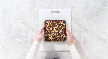 Chocolate hazelnut fudge