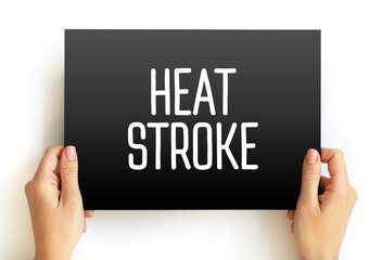 Heat stroke - the most serious heat-related illness, occurs when the body becomes unable to control...