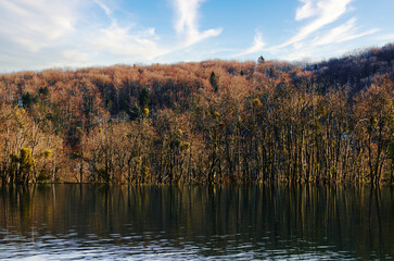 Autumn forest on the bank of the lake. Blue sky with white clouds.