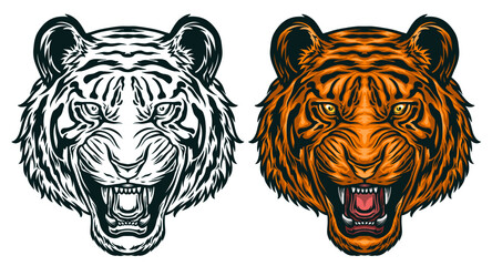 tiger head vector