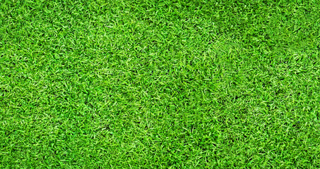 Top view green grass soccer field for background