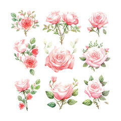 Naklejka premium Valentine's Day Rose set watercolor