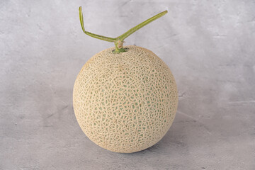 コンクリート背景のマスクメロン　横中央