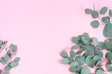 wedding or mothers day background, green eucaliptus leaves over pink background with copy space