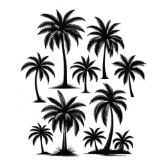 Set of palm tree silhouettes isolated on a white background, Vector illustration.