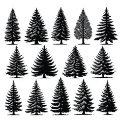 Obraz premium Set of tree silhouettes isolated on a white background, Vector illustration.