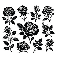 Set of roses silhouettes isolated on a white background, Vector illustration. - obrazy, fototapety, plakaty