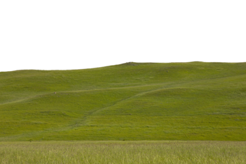 Mountain meadows with lush green grass at dawn. Landscape. Transparent Background