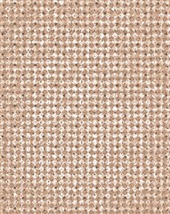 Background template with leaves and flowers. Images for publication on social networks, banners, cards, covers, invitations, posters, backgrounds, backgrounds for text