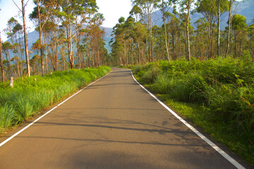 Empty road in the mountain