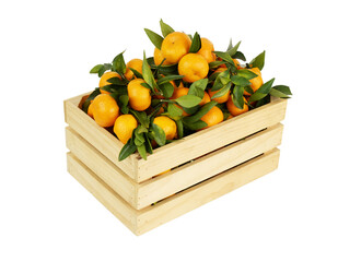Wooden box with ripe mandarins isolated on white background	