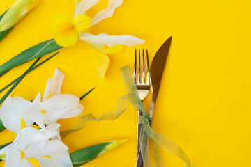 Iris yellow and white flowers on tender spring background, 8 march day festive background, mimose...