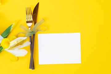 Iris yellow and white flowers on tender spring background, 8 march day festive background, mimose is traditional flowers for Easter or Mothers Day