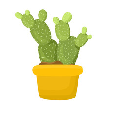 cactus in a pot, illustration of cactus