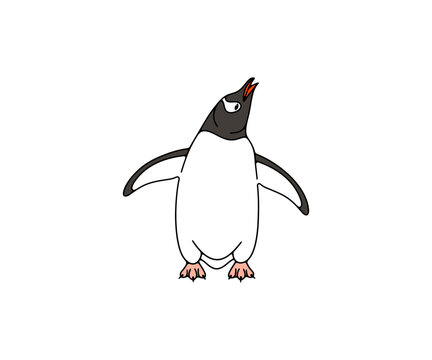 Subantarctic penguin or gentoo penguins, graphic design. Animal, bird, avian, feathered, antarctica and nature, vector design and illustration