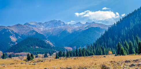 Enjoy the breathtaking beauty of autumn in the Tien Shan mountains. Stroll through landscapes...