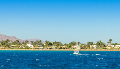 Obraz premium windsurfer rides on the background of the beach with palm trees and rocky mountains in Egypt Dahab South Sinai