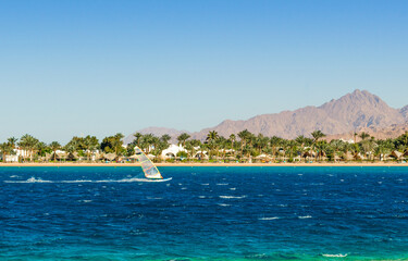 windsurfer rides on the background of the beach with palm trees and rocky mountains in Egypt Dahab South Sinai