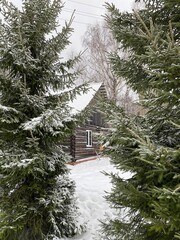 Зимний пейзаж с деревянным домом среди елей