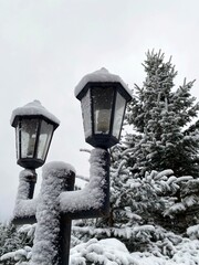  Уличные светильники после снегопада около елей