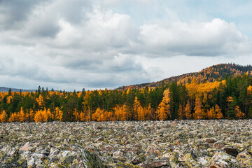 the world's largest stone river in Taganay National Park in autumn