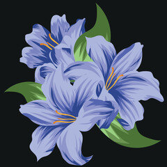 vector illustration of three blue summer lily buds with three green leaves on a black background