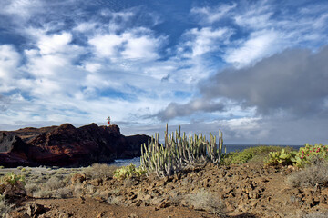 Leuchtturm an der Atlantikküste umgeben von Landschaft und Pflanzen
