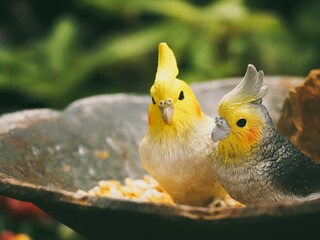 寄り添うインコのオブジェ
