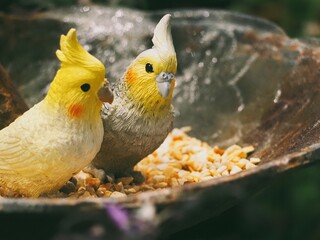 寄り添うインコのオブジェ