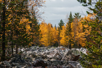 the world's largest stone river in Taganay National Park in autumn
