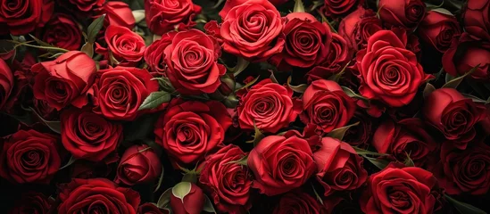 Gordijnen Natural and fresh red roses flowers pattern wallpaper background © RMedia