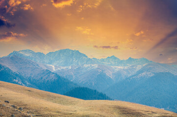 Feel the bright colors of autumn in the Tien Shan range. Immerse yourself in the symphony of...