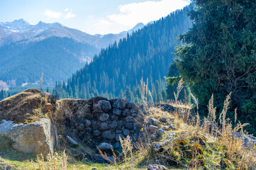 Experience the stunning beauty of the Tien Shan Mountains in autumn. Be immersed in vibrant foliage...