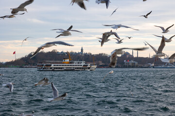 Fototapeta na wymiar Istanbul background photo. Ferry and seagulls