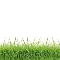 Fototapeta premium Grass: A Beautiful Isolation on White Background On transparent background PNG file