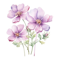 Watercolor illustration spring violet flowers bouquet. Perfect for card, fabric, tags, invitation, printing, wrapping.
