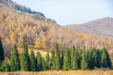 Experience the breathtaking beauty of an autumn wonderland in the mountains. Be enchanted by the...