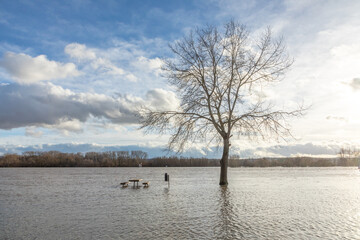 flood at river Rhine in Eltville, Germany with bench in water