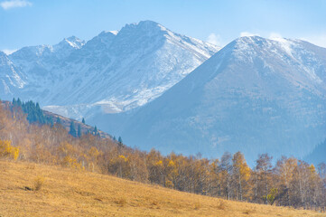 Enjoy the stunning beauty of autumn in the Tien Shan mountains. Be captivated by the colorful...